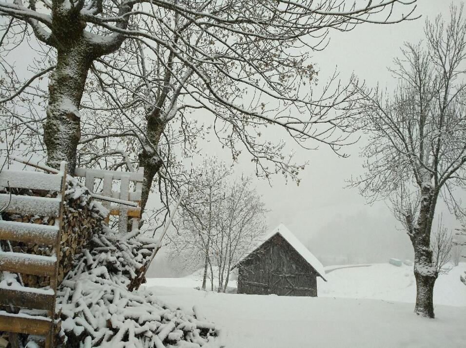 Chalet Lucie Le Cheval Noir Valmorel Buitenkant foto